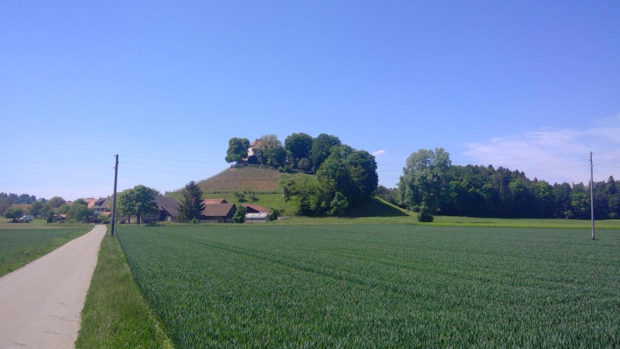 Bed&Breakfast 24 Stein Am Rhein Exterior foto